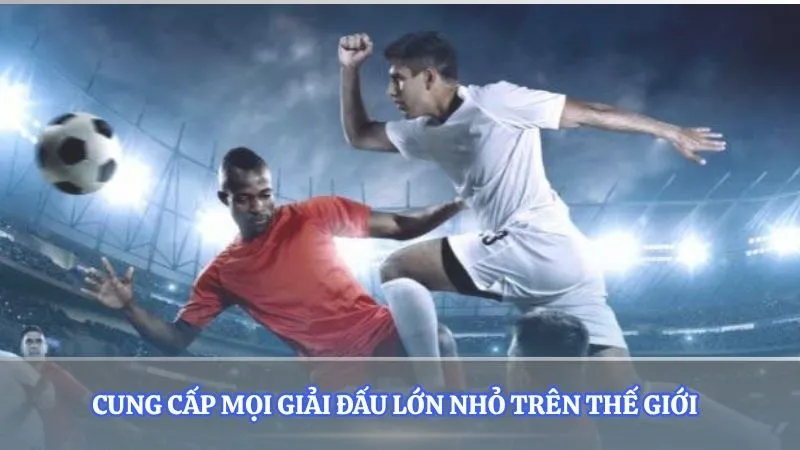 Cung cấp mọi giải đấu lớn nhỏ trên Thế giới